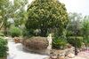 B&B Montesole Holiday