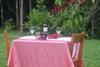 Hostal Inn The Bush Eco-jungle Lodge