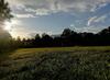 Future Is Nature Playground