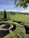 Apartamentos Mole Creek Hideaway