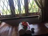 Apartamentos R�ve Bleu