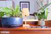 Beautiful Lush And Green Oasis Studio Apartment