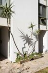 Sunny Apartment With 2 Bedrooms