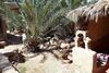 Posada The Palm Grove