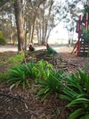 Kalimna Woods Cottages