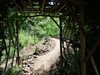 Posada Kikonko Lodge