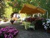 Agroturismo Pian Del Gallo