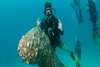 Apartamento Ban's Diving Resort