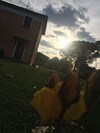 Apartamento Il Nido Delle Rose