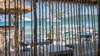 Hotel Sarasea Resort