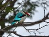 Lochinvar Safari Lodge