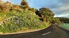 Hotel Madhuban - Waterfront In Whangaroa