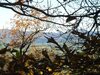 Camping Des Prairies D' Auvergne