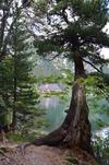 Horsky Hotel Popradske Pleso