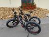 Biohotel Mattlih�s