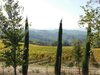 Agroturismo Borgo Cenaioli