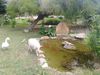 Agroturismo Agriturismo Le Scuderie de Morimenta
