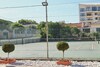 Apartamentos Ashley On The Beach