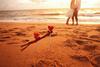 Hotel Sunrise Holidays Resort Hurghada (Adults Only)