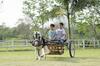 Hotel Finca Hoster�a El Retiro