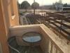 Apartments Mladenka 20m From Marina!