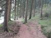 Pleasant Apartment In Wildemann Amid Forest