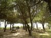 Welcoming Villa With Private Garden In Bages