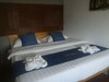 Hotel My Rainforest Homestay