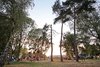 Huttopia Etang de Fouch�