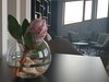 Hostal Porto Velho Boutique Hostel