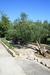 Apartments Anita Vodice
