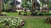 Bed & Breakfast Ronia Mountain Villa Lembang