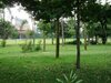 Bed & Breakfast Ronia Mountain Villa Lembang