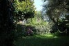 Villa Clematis