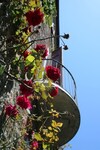 Villa Clematis