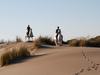 Camping Abri De Camargue
