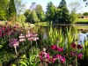 Hotel Linthwaite House