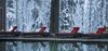 Apartamento The Khyber Himalayan Resort & Spa