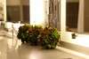 Hotel Welk Resorts San Diego