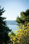 Camping Villaggio Cerquestra