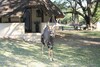 Posada Bonamanzi Game Reserve