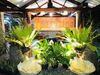 Bed & Breakfast Matutina Pensionne