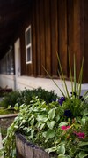 Hotel Appenzell Inn