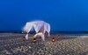 Hotel Hilton Wenchang