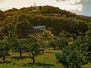 Hotel Firefly Plantation Bequia