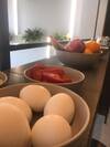 Hotel Euro Guest House
