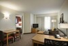Aparthotel Residence Inn By Marriott Detroit Novi
