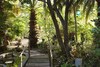 Hotel Yellow Aloe Guesthouse