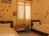 Hotel Single Flight Backpackers