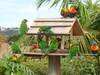 Merimbula Sea Spray Motel (Adult Only)